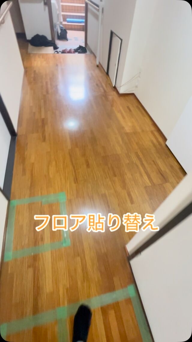 名古屋リフォーム🔨玄関廊下のフローリング貼り替え⛑️
#名古屋戸建リフォーム#名古屋リフォーム自社施工#名古屋マンションリフォーム#名古屋戸建リノベーション#名古屋マンションリノベーション#名古屋フローリングリフォーム#名古屋水まわりリフォーム#名古屋トイレリフォーム#名古屋キッチンリフォーム#名古屋お風呂リフォーム#名古屋ユニットバスリフォーム#名古屋洗面台リフォーム#名古屋マンションフルリフォーム#名古屋スケルトンリフォーム#名古屋リフォーム施工事例#名古屋リフォーム動画#名古屋リフォームビフォーアフター